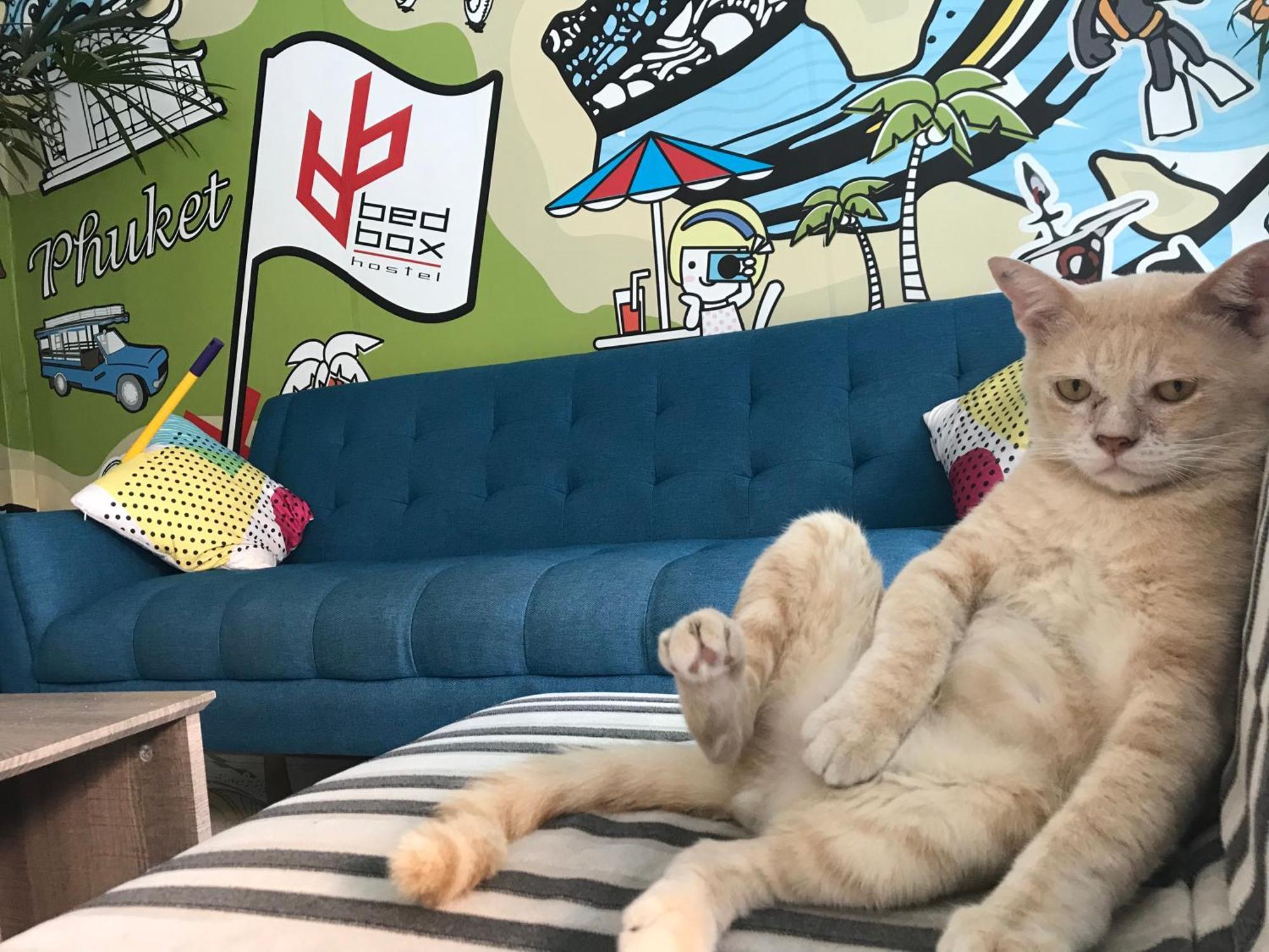 Bedbox Guesthouse And Hostel Patong 외부 사진